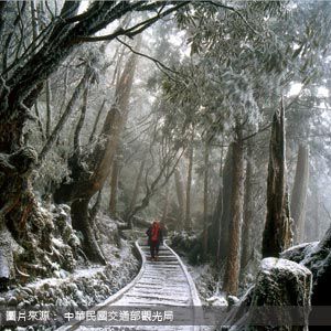 太平山國家森林遊樂區 Taipingshan National Forest Recreation Area 宜蘭包車旅遊
