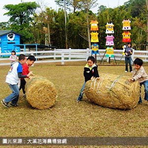 大溪花海農場 Xiao Wulai Waterfall 桃園包車旅遊 機場接送