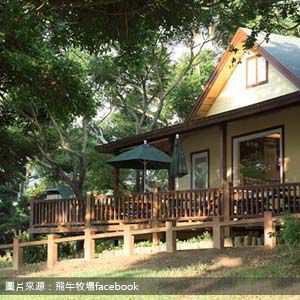 飛牛牧場 Flying Cow Ranch 苗栗包車旅遊