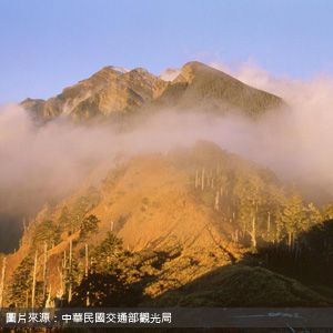 大雪山國家森林遊樂區 Daxueshan National Forest Recreation Area 台中包車旅遊