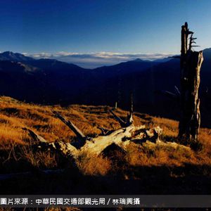 福壽山農場 fushoushan 台中包車旅遊