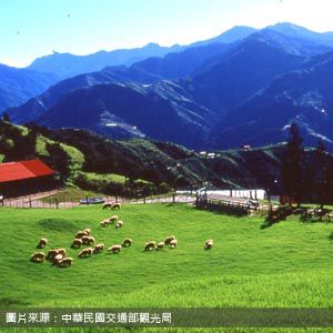 清境農場 Qingjing Farm 南投包車旅遊