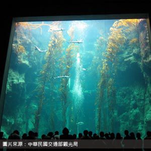 海洋生物博物館 National Museum of Marine Biology & Aquarium 屏東包車旅遊