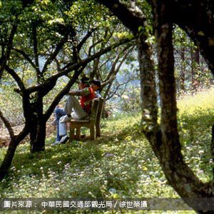 池南國家森林遊樂區 Chinan National Forest Recreation Area 花蓮包車旅遊