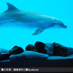 遠雄海洋公園 farglory-oceanpark 花蓮包車旅遊