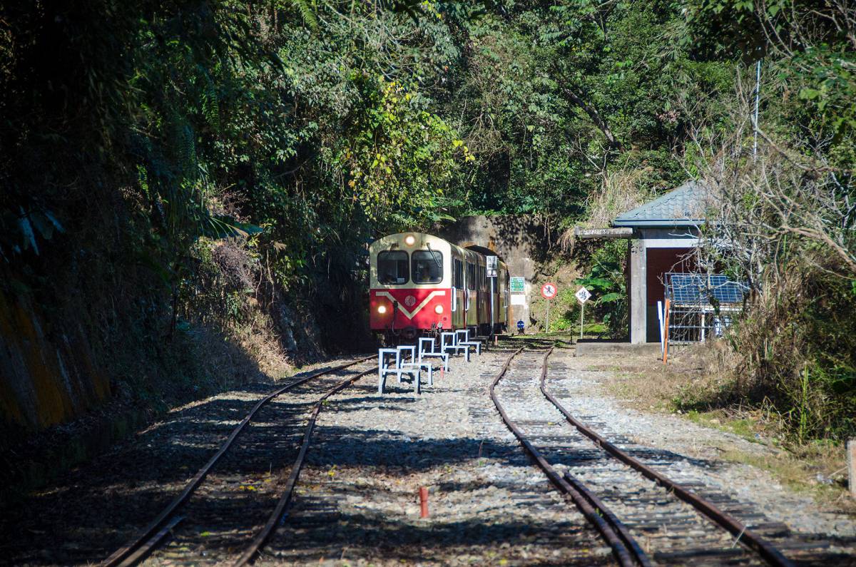 嘉義阿里山火車