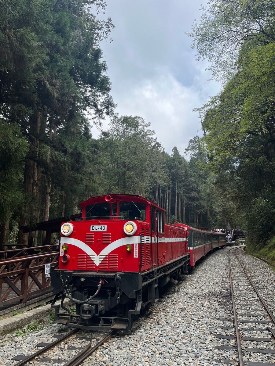 嘉義包車-阿里山