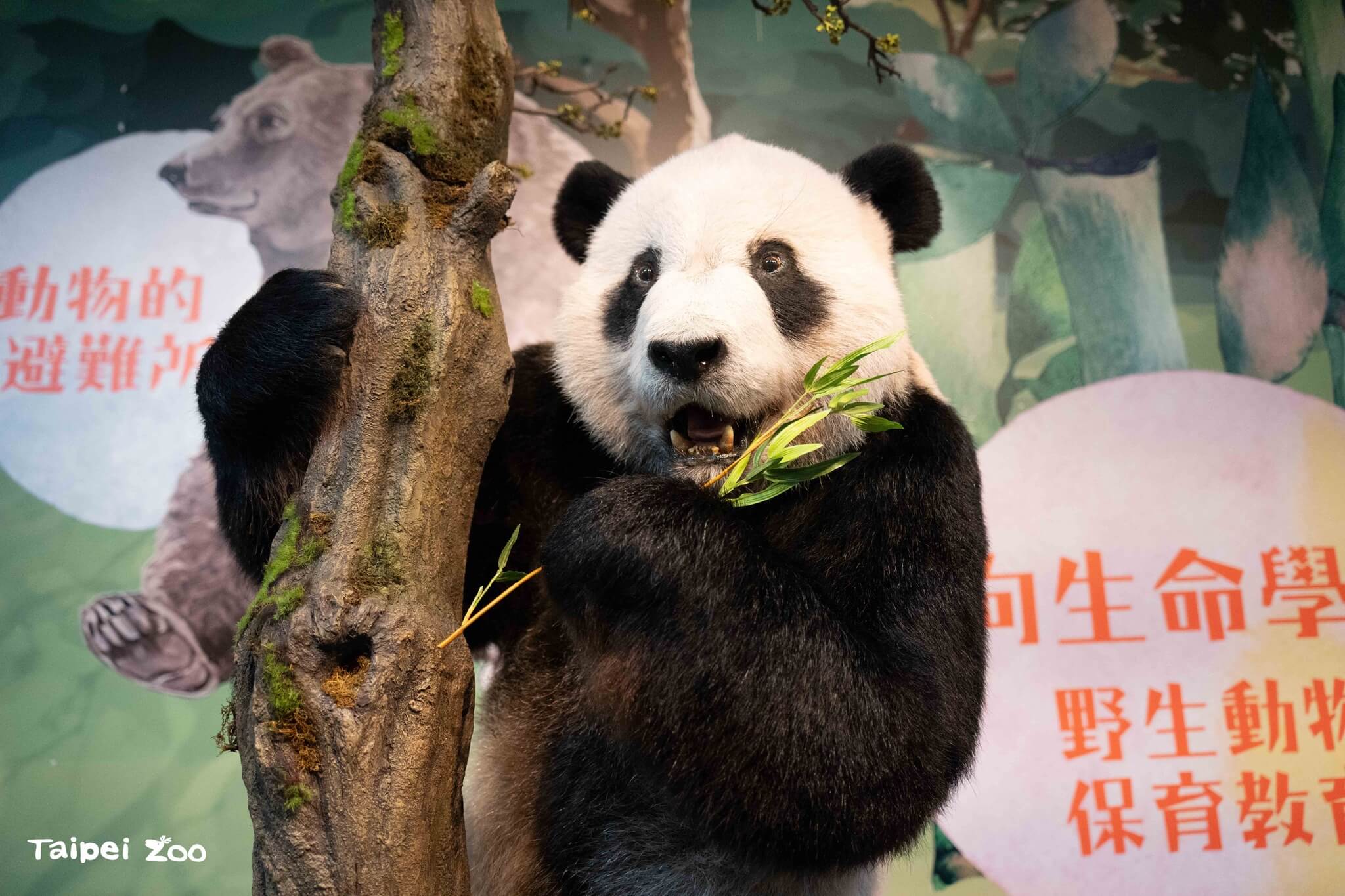 木柵動物園