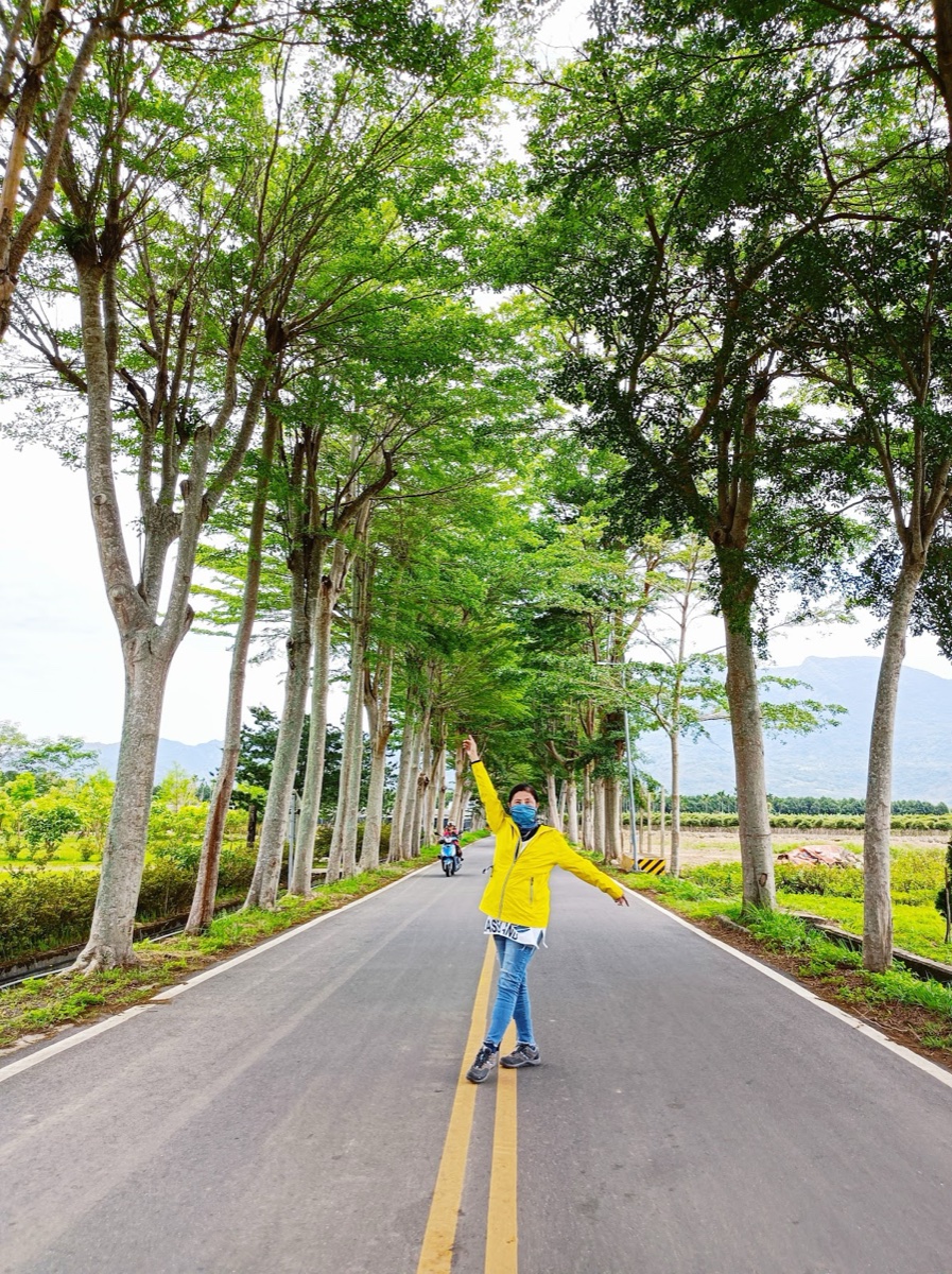 龍田綠色隧道