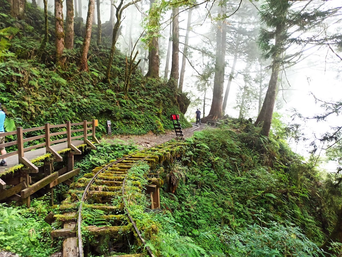 太平山國家森林遊樂區