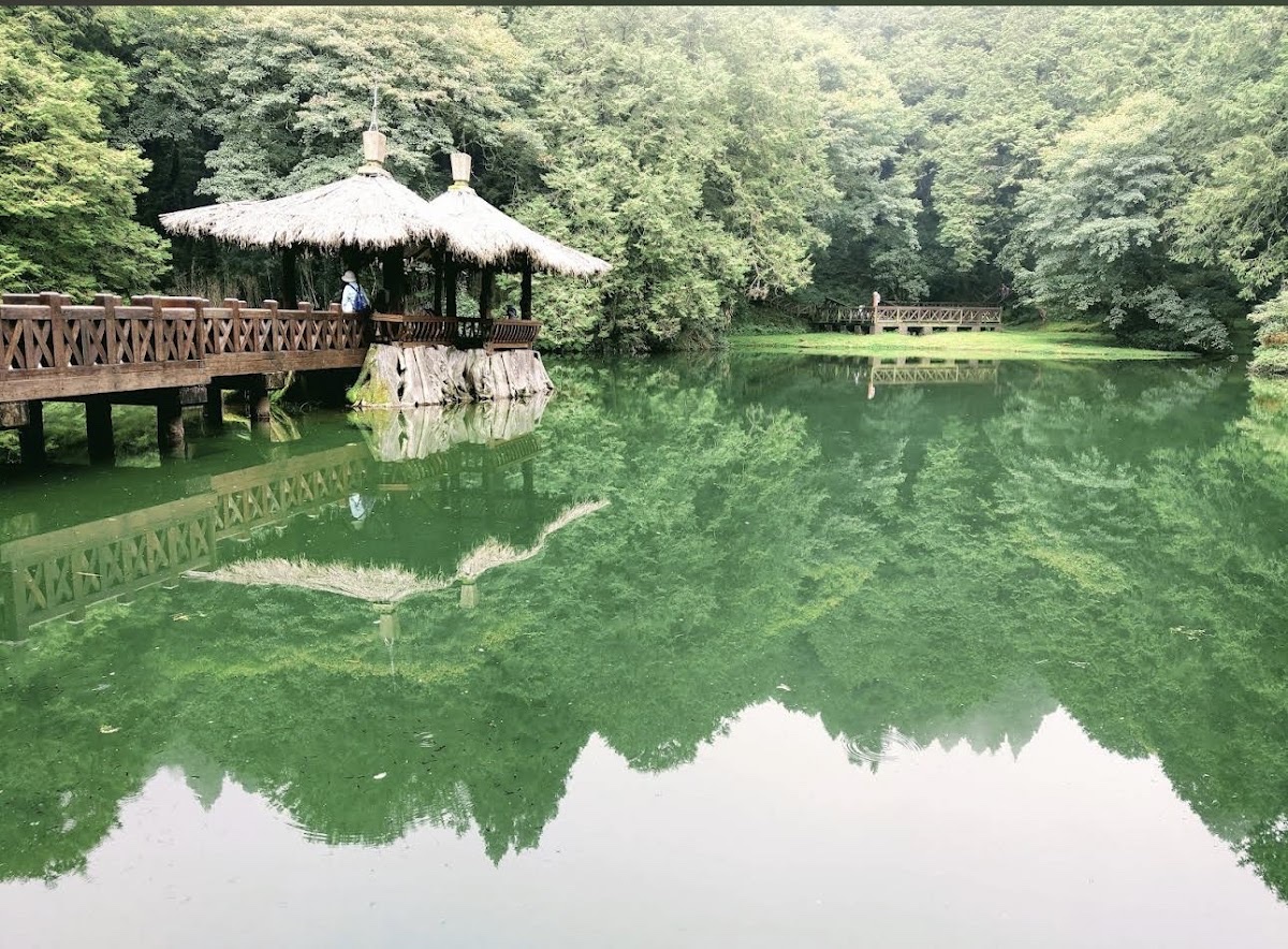 阿里山國家森林遊樂區