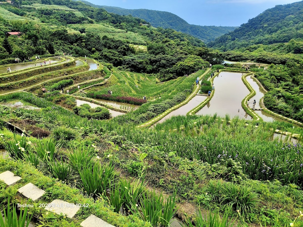 嵩山梯田