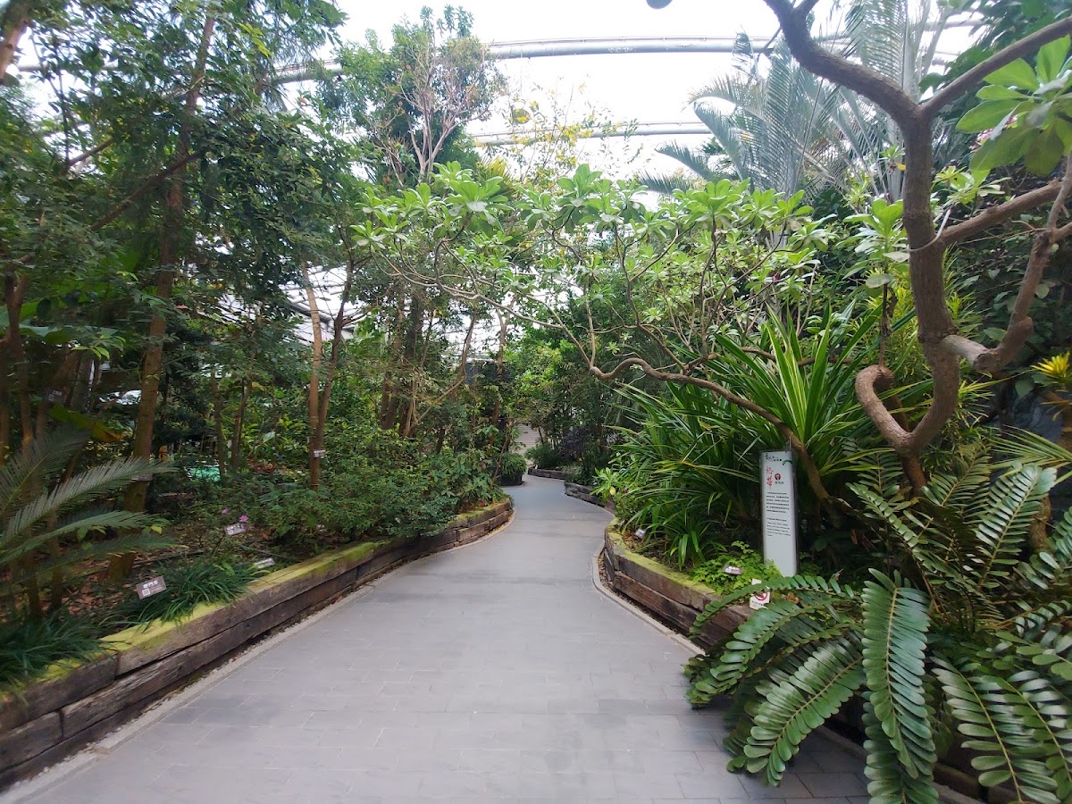 典藏植物園
