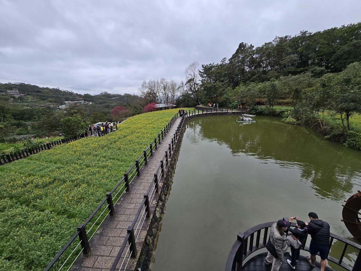 樟樹步道