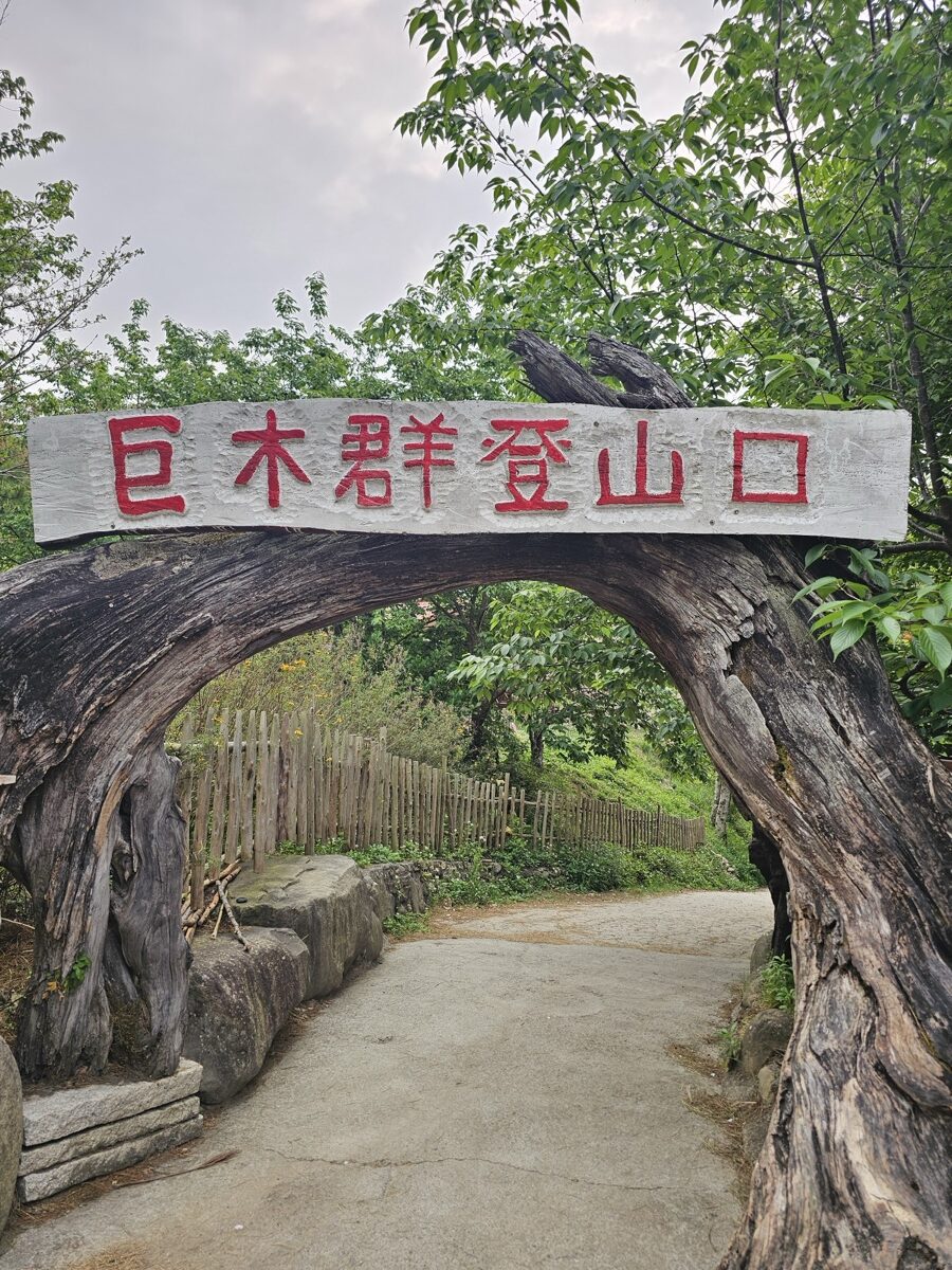 司馬庫斯巨木群步道登山口