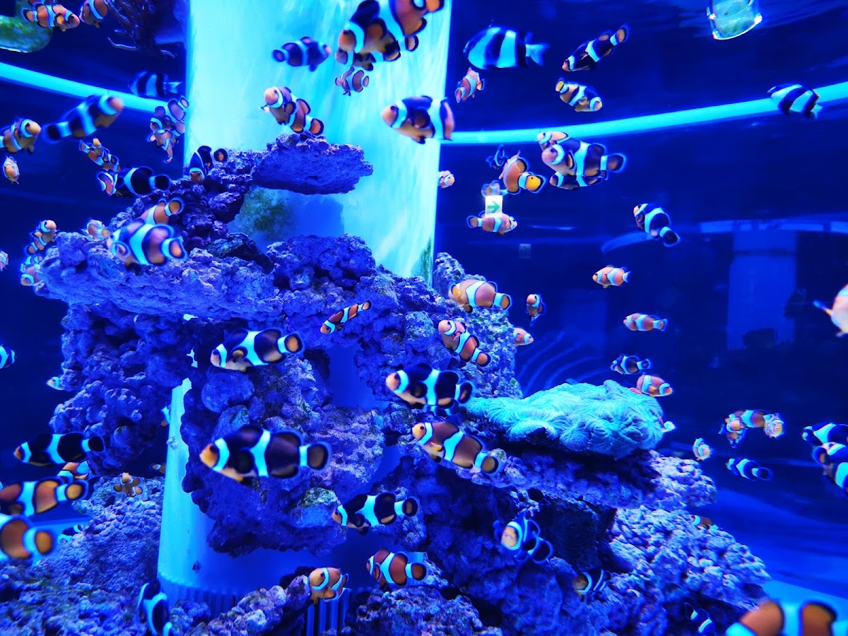 潮境智能海洋館