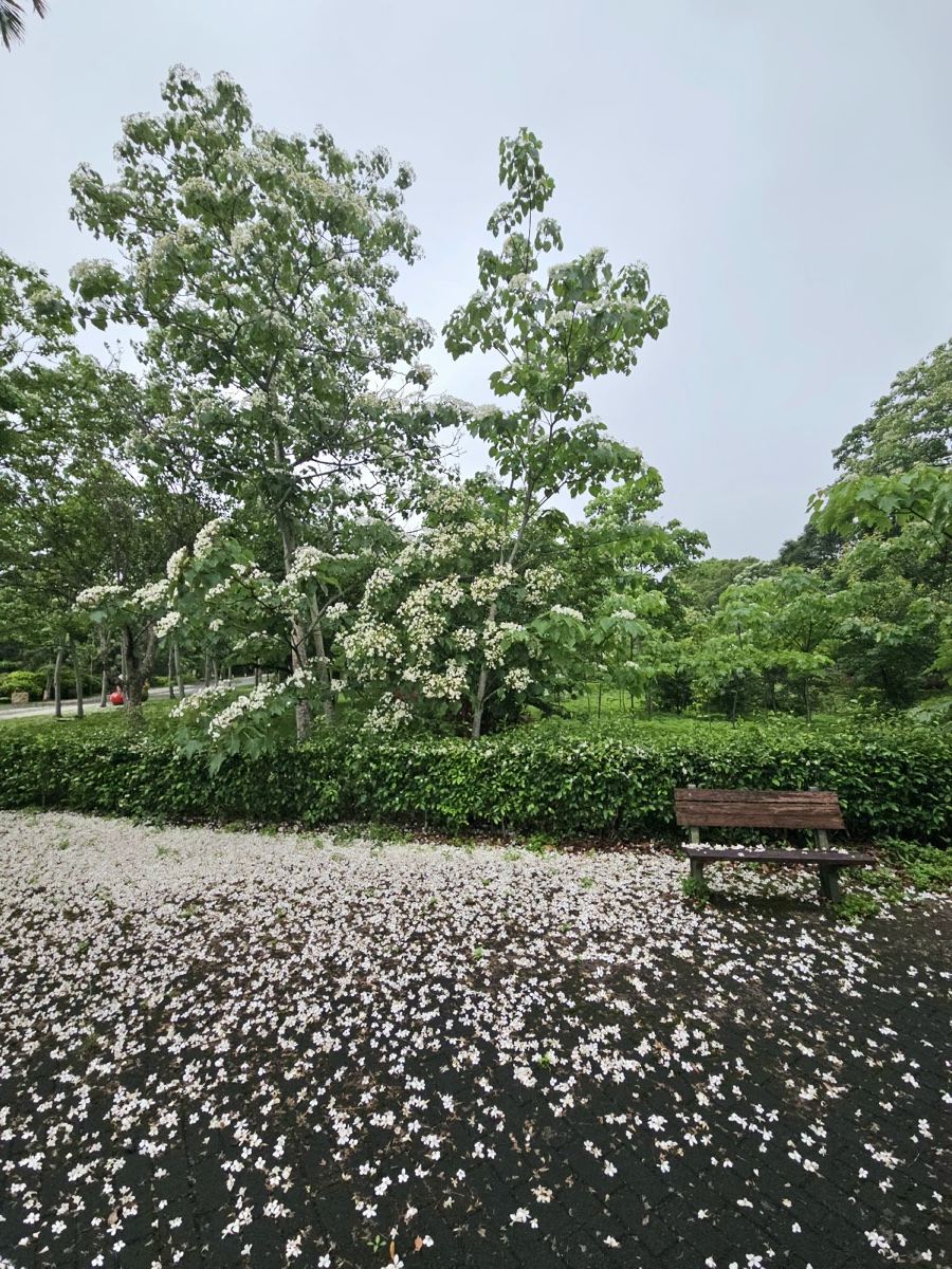姜太公中部道場-客家大院