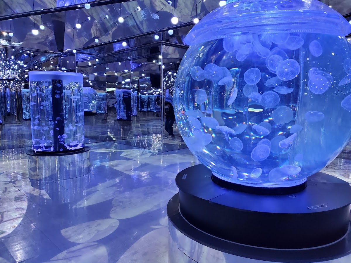 Xpark 水族館