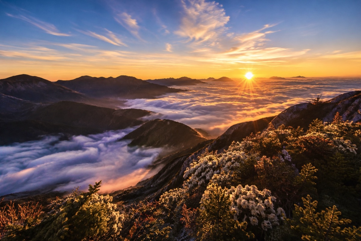 合歡山武嶺